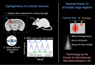 Techniques - Functional Neuroimaging - IIT
