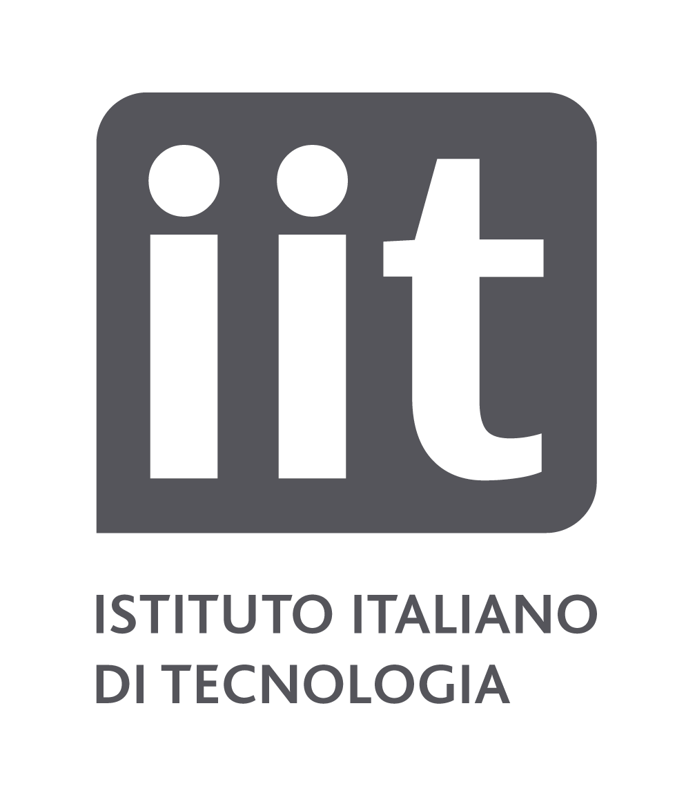 Research - Functional Neuroimaging - IIT